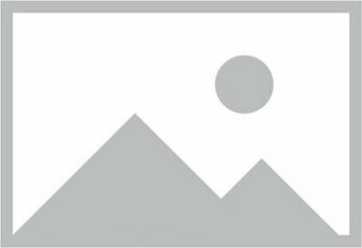 123155 – фото 2