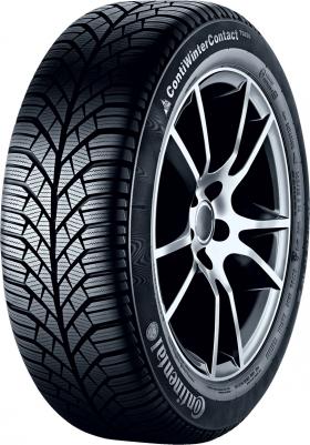205/55 R16 ContiWinterContact TS830P 91H – фото 2