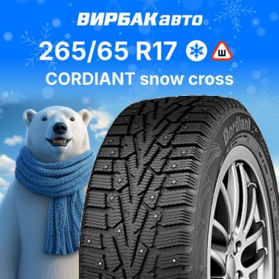 Snow Cross 265/65/R17 116T