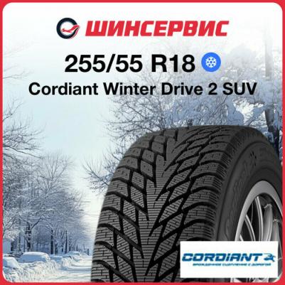 Winter Drive 2 SUV 255/55/R18 109T