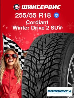 Winter Drive 2 SUV 255/55/R18 109T – фото 5