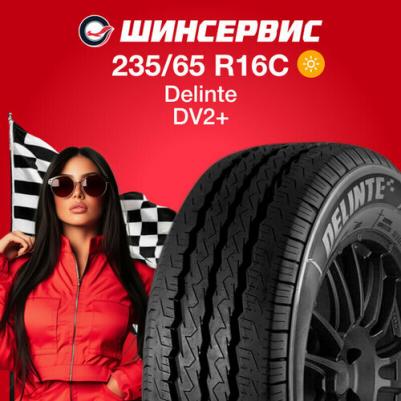 DV2 – фото 10