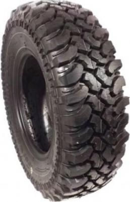 Safari 540 – фото 3