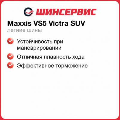 VS5 Victra SUV – фото 2