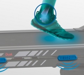 F9R DUAL – фото 2