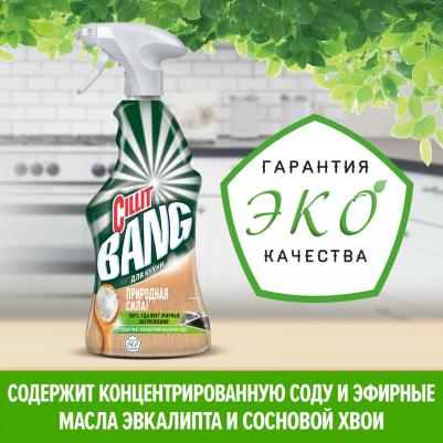 Средство чистящее Природная сила для кухни с содой 450мл – фото 13