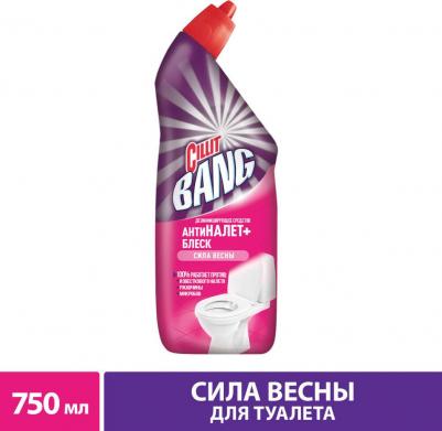 Средство дезинфицирующее для туалета Анти-налет+Блеск Сила весны 750мл – фото 1