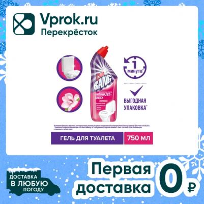 Средство дезинфицирующее для туалета Анти-налет+Блеск Сила весны 750мл – фото 2