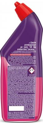 Средство дезинфицирующее для туалета Анти-налет+Блеск Сила весны 750мл – фото 6