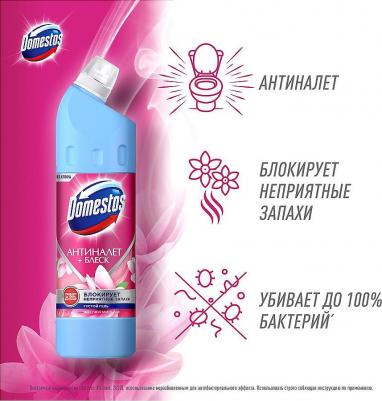 Чистящее средство универсальное "Антиналет + блеск. Цветущая магнолия", гель, без хлора, 750 мл – фото 2