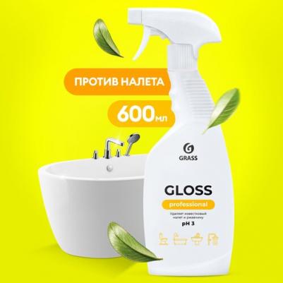 Чистящее средство для сантехники Gloss Professional 600 мл