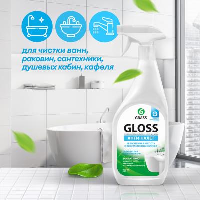 Профессиональное чистящее средство Gloss 600 мл – фото 9