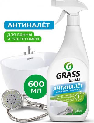 Профессиональное чистящее средство Gloss 600 мл – фото 15