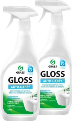 Профессиональное чистящее средство Gloss 600 мл – фото 20