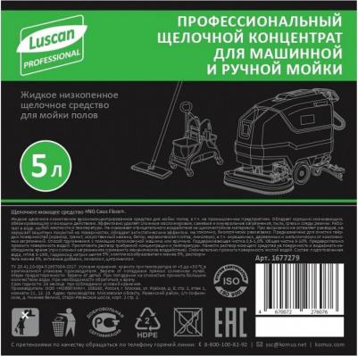 Средство для машинной и ручной мойки поверхностей Professiona 5 л – фото 5