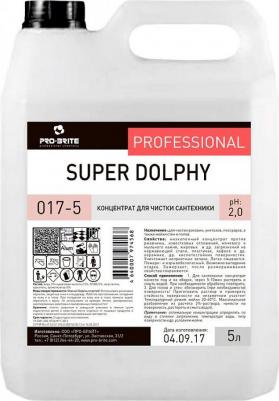 Профессиональное кислотное средство для чистки сантехники Super Dolphy 5 литров – фото 4