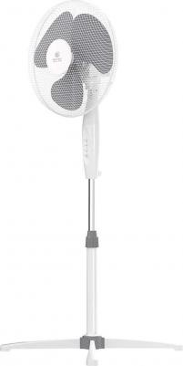 RSF-1601M-WT – фото 4