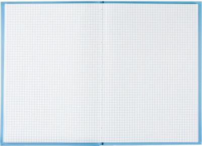 Книга учета 96 листов А4 в клетку на сшивке блок офсет Bright Сolours 4670072227610 – фото 2