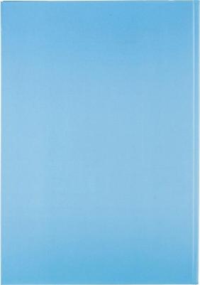 Книга учета 96 листов А4 в клетку на сшивке блок офсет Bright Сolours 4670072227610 – фото 3