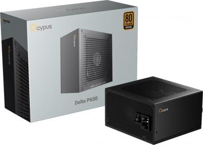 Delta-P650-B1FDBK024X-EU – фото 2