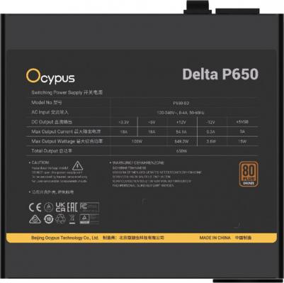 Delta-P650-B1FDBK024X-EU – фото 5
