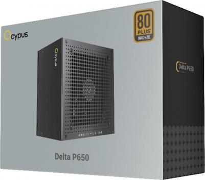 Delta-P650-B1FDBK024X-EU – фото 6