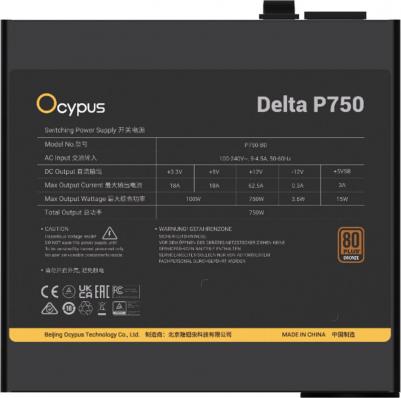Delta-P750-B1FDBK024X-EU – фото 4