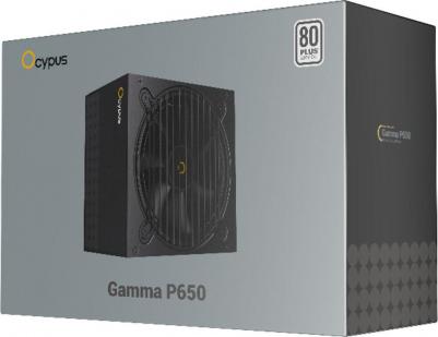 Gamma-P650-W1HDBK024X-EU – фото 1