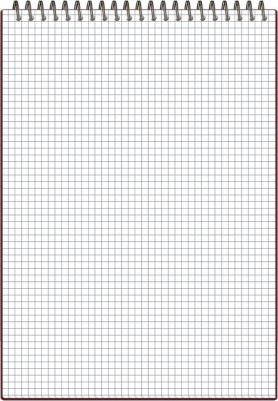 Блокнот А4 80 листов бордовый в клетку на спирали (210х294 мм) – фото 1