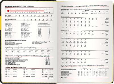 Ежедневник недатированный A5 "AIM", под кожу, 136 листов, черный – фото 16