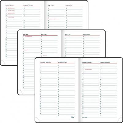 Ежедневник недатированный А5 148х218 мм "Ritter", под кожу, 160 л., коричневый, 114466 – фото 6