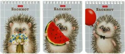 Блокнот А6, 40 листов на гребне "Хорошо быть ёжиком", обложка мелованный картон, УФ-лак, блок 65 г/м?, микс – фото 1