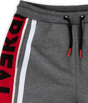 Джоггеры с лампасами серые для девочки (134) – фото 3