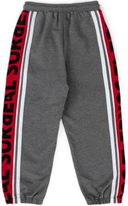 Джоггеры с лампасами серые для девочки (134) – фото 4