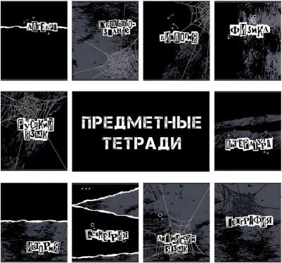 Тетрадь предметная Панк А5 48 листов разноцветная комбинированная УФ-сплошной глянцевый лак