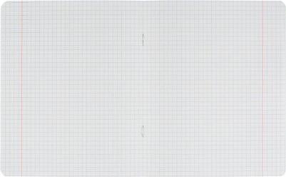 Тетрадь школьная розовая Отличник А5 12 листов в клетку – фото 10