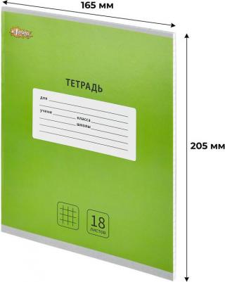 Тетрадь школьная зеленая Интенсив А5 18 листов в клетку – фото 5