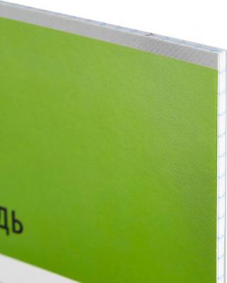 Тетрадь школьная зеленая Интенсив А5 18 листов в клетку – фото 7