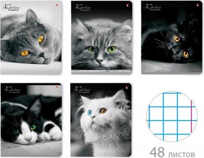 Тетрадь А5 48л. скоба, клетка, глянцевый лак, Кошки. Яркий взгляд, 7-48-1019 – фото 2