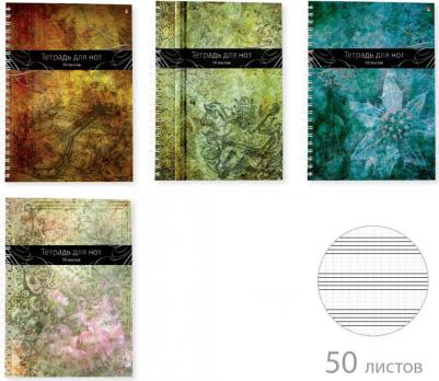 Тетрадь для нот 50 листов, А4, Вертикальная, 4 вида (5-50-010) – фото 2