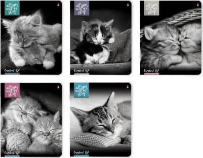 Тетради 48 листов серия "Котята "МУР-МУР" Набор 5 шт. Цена за 5 штук – фото 4