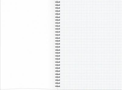 Бизнес-тетрадь А4 96 листов синяя в клетку на спирали (204x291 мм) – фото 2