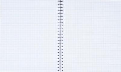 Бизнес-тетрадь Fluid А5 96 листов серая/голубая в клетку на спирали – фото 3