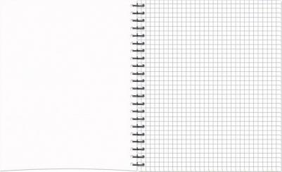 Бизнес-тетрадь Fluid А5 96 листов серая/голубая в клетку на спирали – фото 10