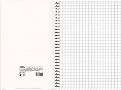 Тетрадь общая Cristal,96л,клет,А4,спир,обл.мел.карт – фото 4