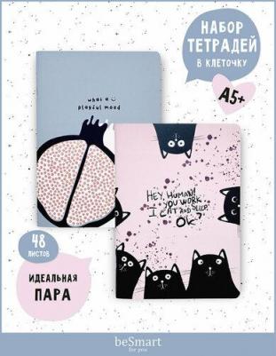 Набор общих тетрадей на скрепке, формат А5+ на 48 листов в клетку, мягкая обложка, 2 шт 4690661156206