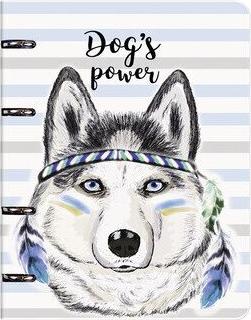 Тетрадь клетка 16.3*21.2см 120л – фото 2