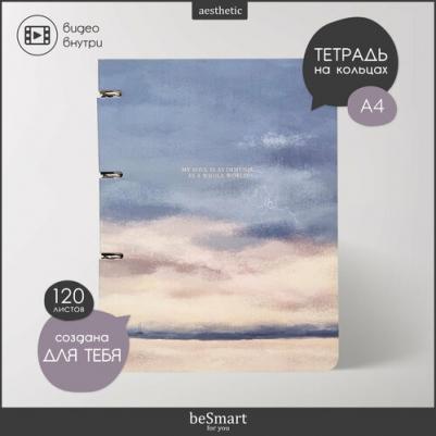 Тетрадь на кольцах View А4 120 листов в клетку