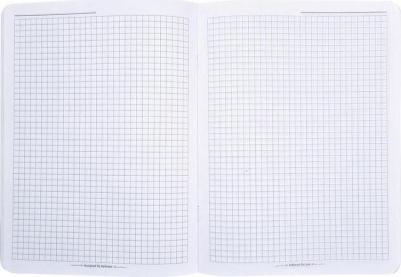 Тетрадь общая Botanica А5+ 48 л в клетку на скрепке 4690661178666 – фото 1