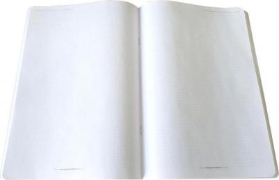 Тетрадь общая View А4- 40 листов в клетку на скрепке (N3320) – фото 4